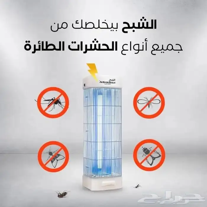 صيادة حشرات صيادة الشبح 1