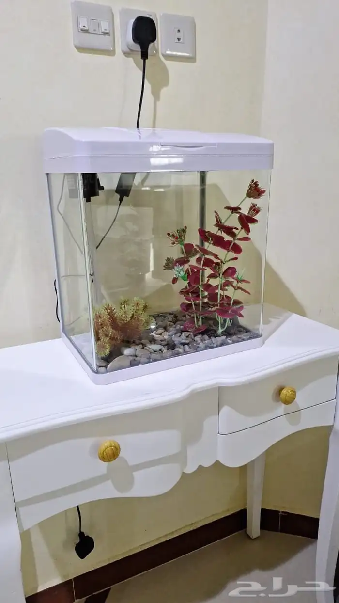 حوض سمك 1