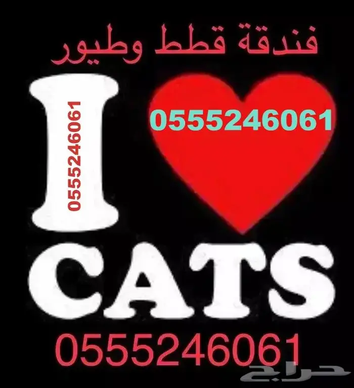 فندقة قطط وطيور 6061 24 0555 الرياض 0