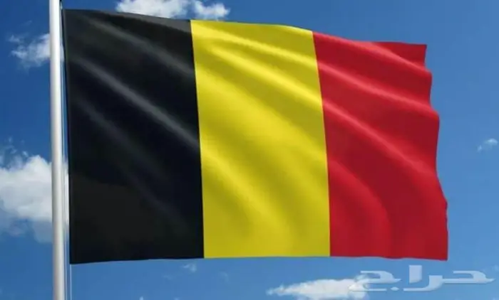 اعلام المنتخبات 5