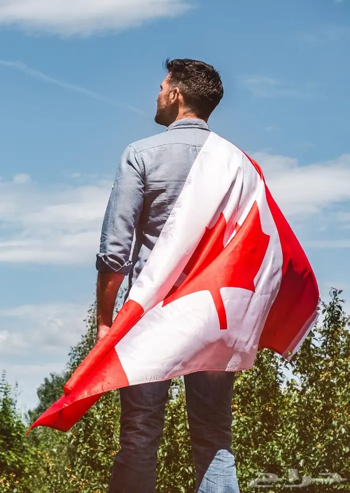 اعلام المنتخبات 24