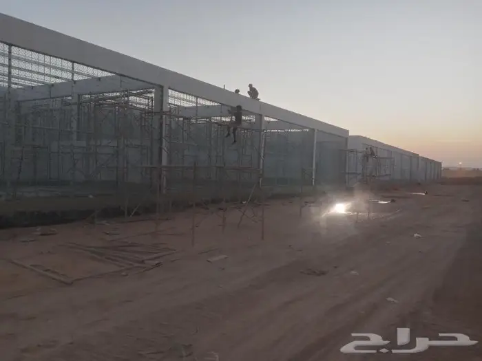 مقاول شبوك 3