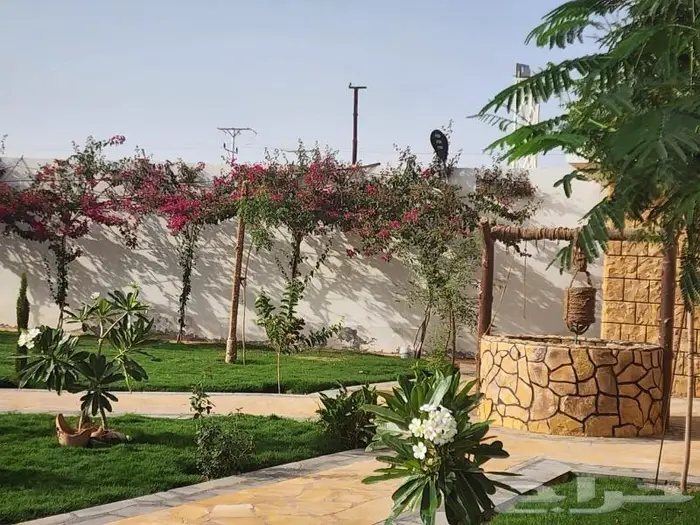 استراحه اللعاب مائيه كبيره 16