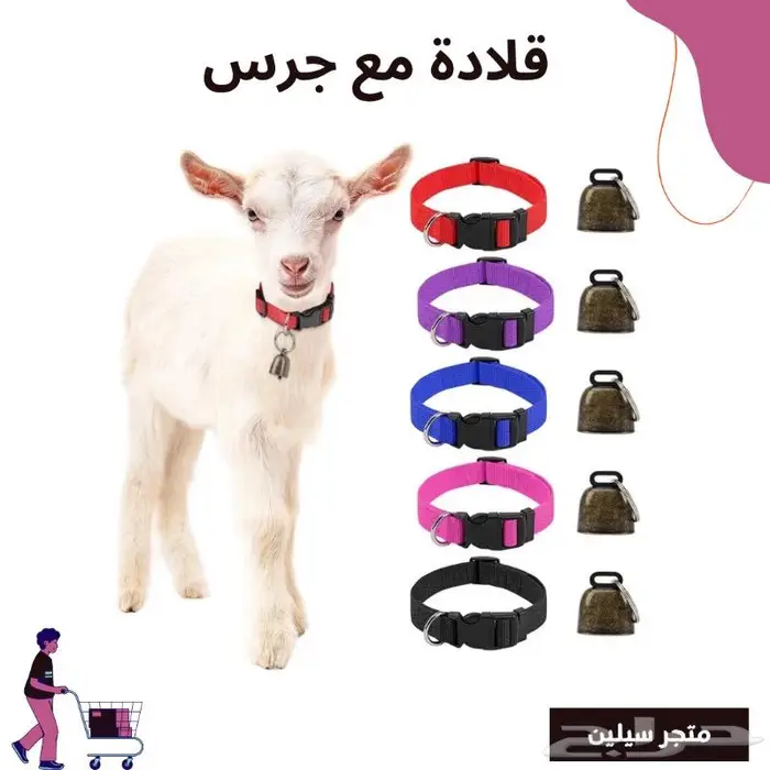 قلادة مع جرس للأغنام 0
