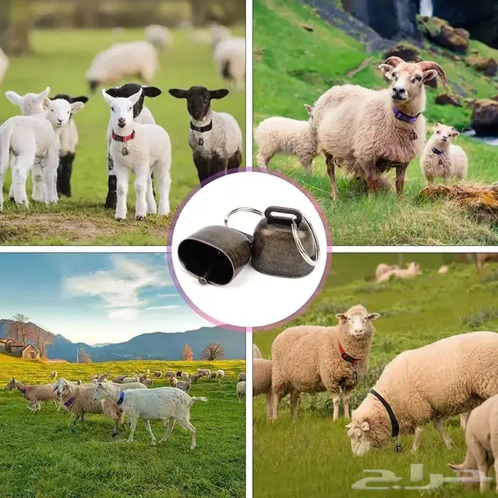 قلادة مع جرس للأغنام 7