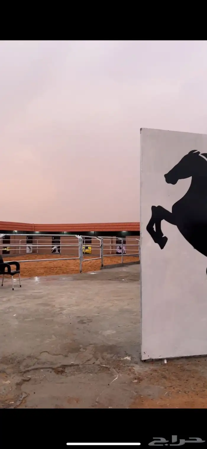 ايواء خيول اسطبلات خيول 7