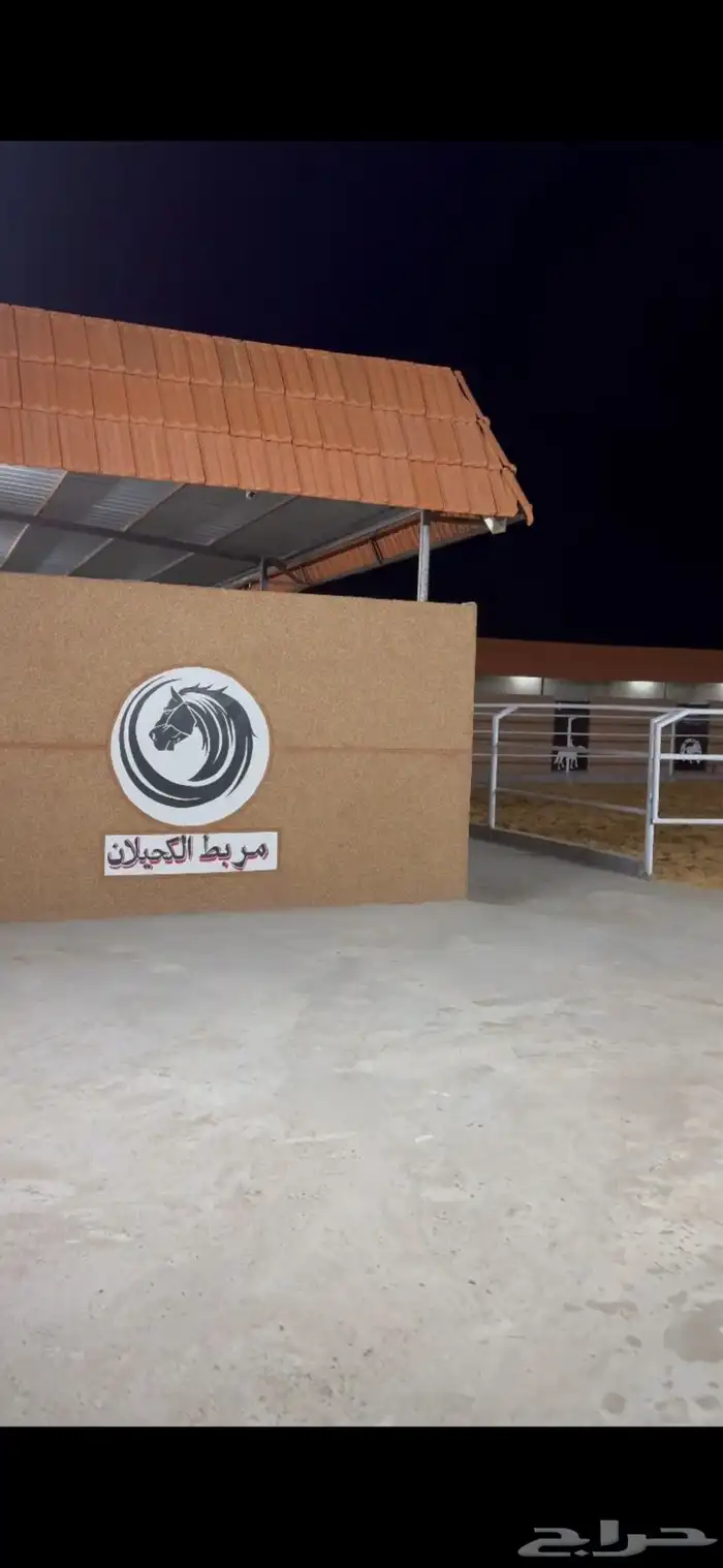 ايواء خيول اسطبلات خيول 1