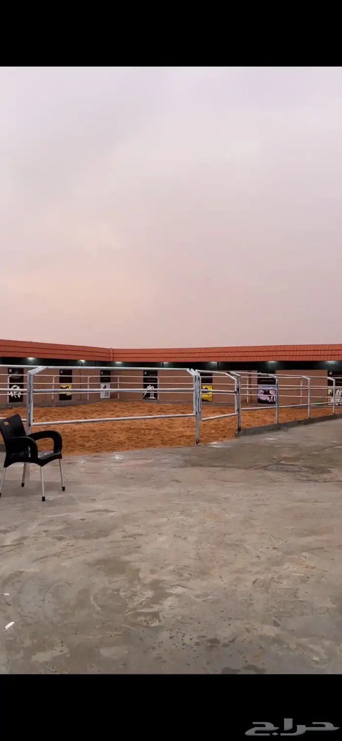 ايواء خيول اسطبلات خيول 6