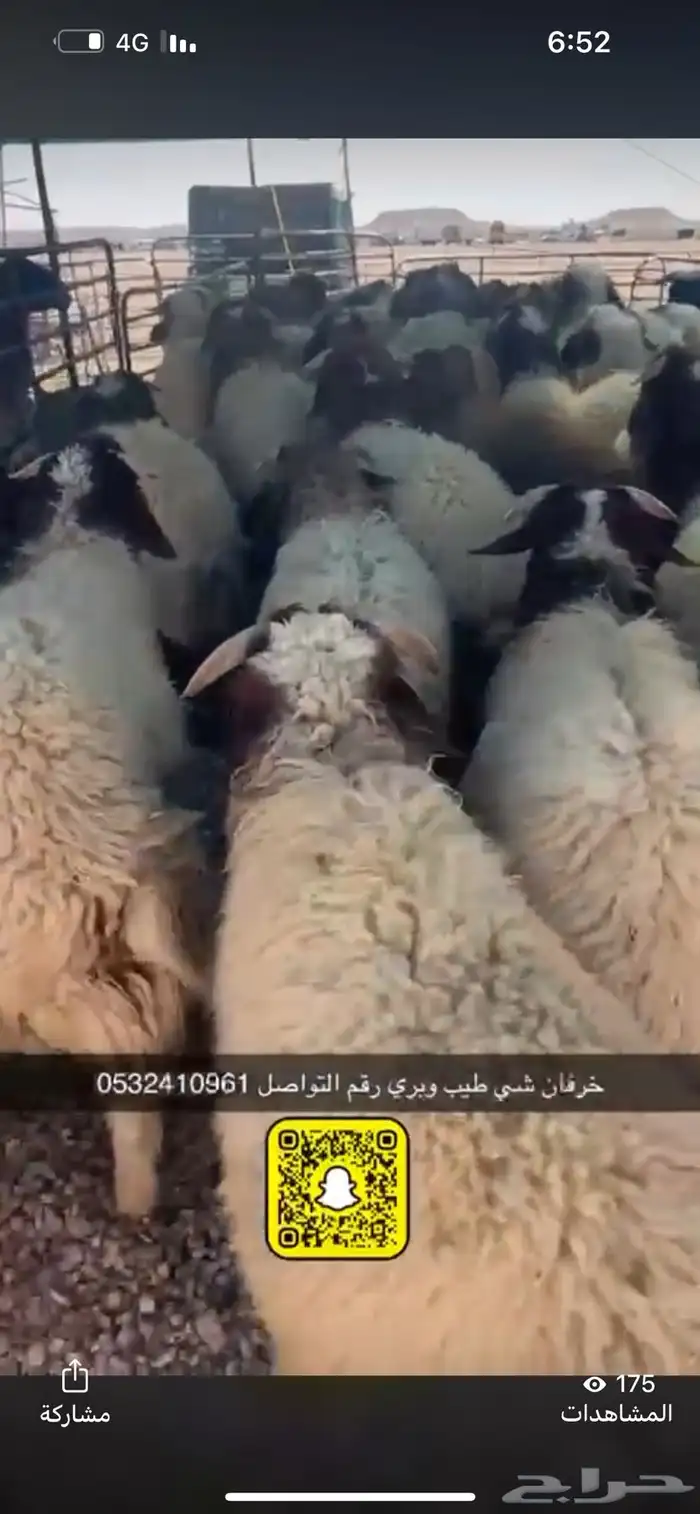 ذبايح عرعر مع خدمة الذبح وتوصيل مجاني 2