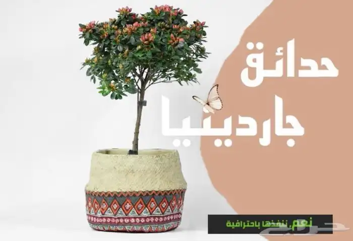 مصور جده -تصوير منتجات أحجز الأن -مطاعم - open Book now 5