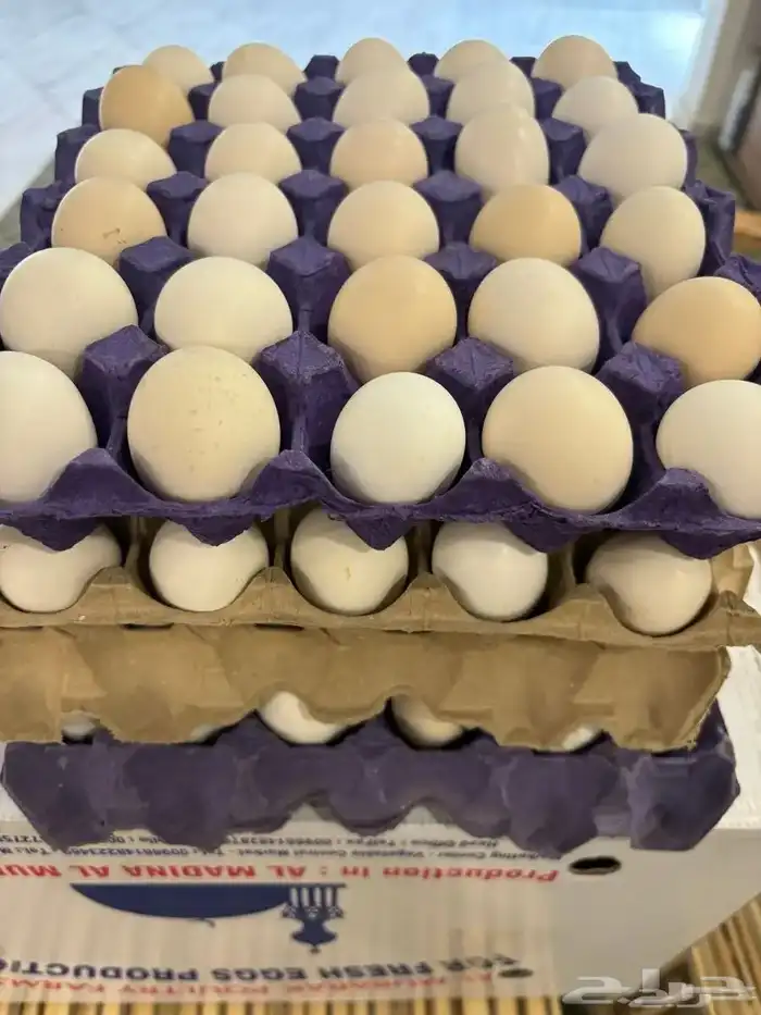 بيض بلدي طازج من المزرعه 0