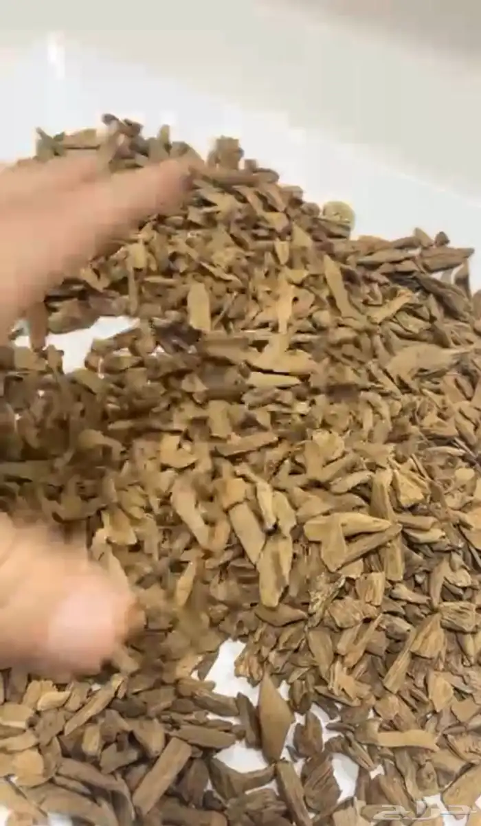 عود مروكي ترابي 0