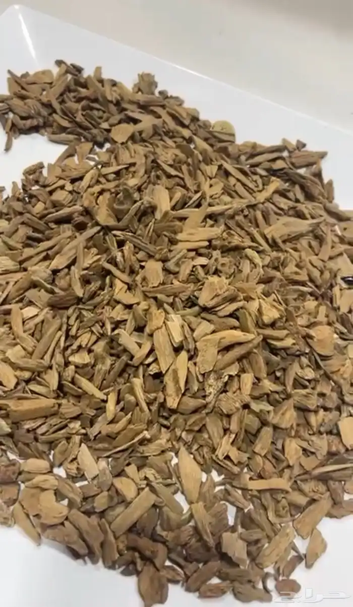 عود مروكي ترابي 1