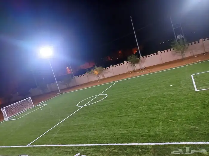 عشب صناعي 4