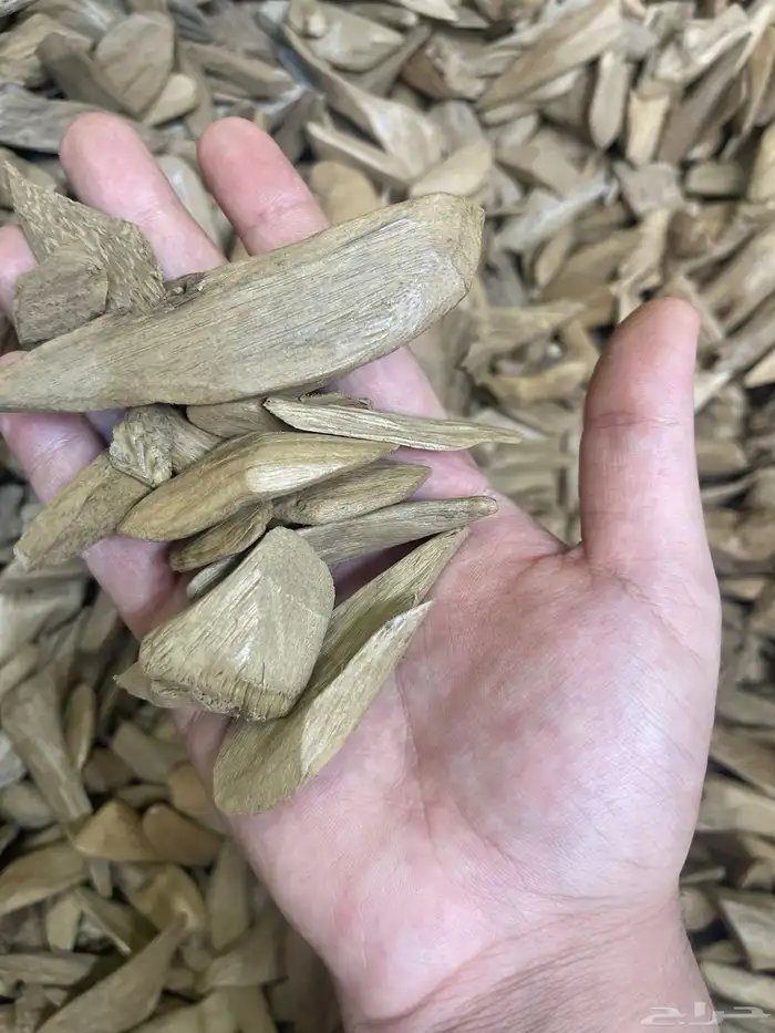 مروكي آصقون كسر مباخر درجه (سوبر) فاخر طبيعي 1