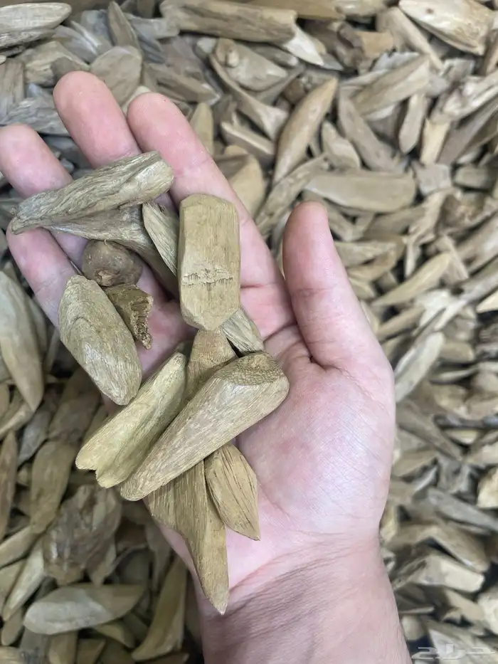 مروكي آصقون كسر مباخر درجه (سوبر) فاخر طبيعي 4