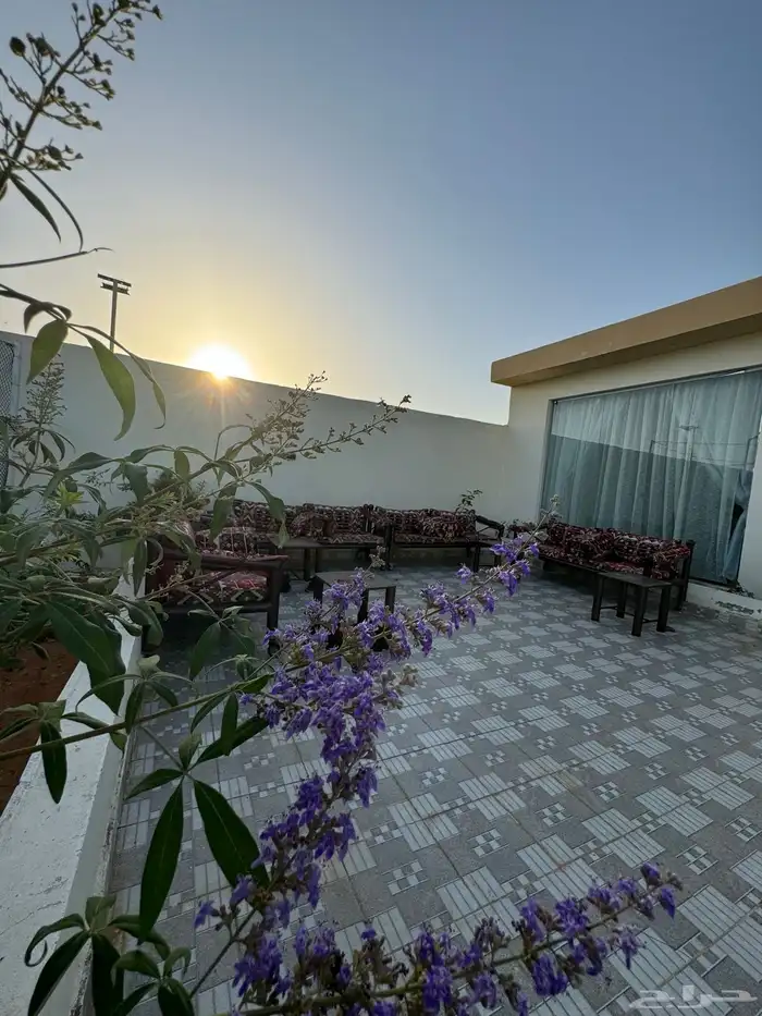 شالية ومربط 3