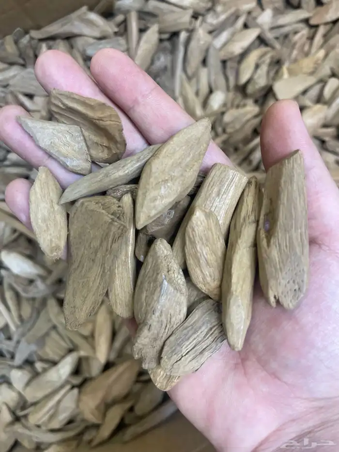 مروكي آصقون كسر مباخر درجه (سوبر) فاخر طبيعي 0