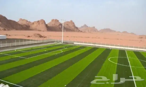 عشب صناعي 6