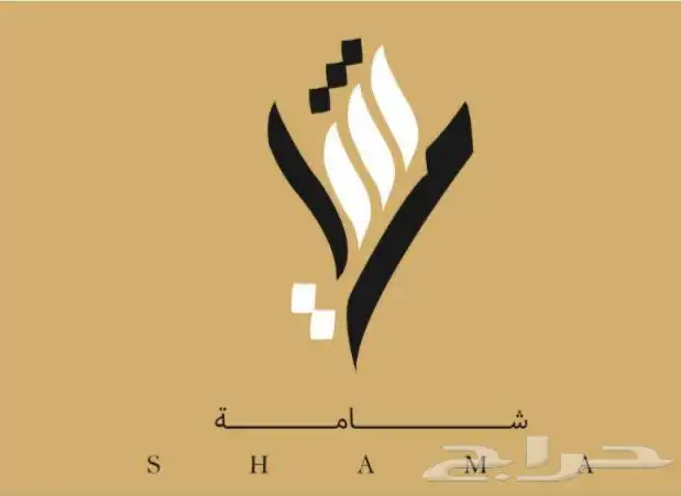 إنشاء متجر إلكتروني على منصه سله فقط بسعر 199 ريال 17
