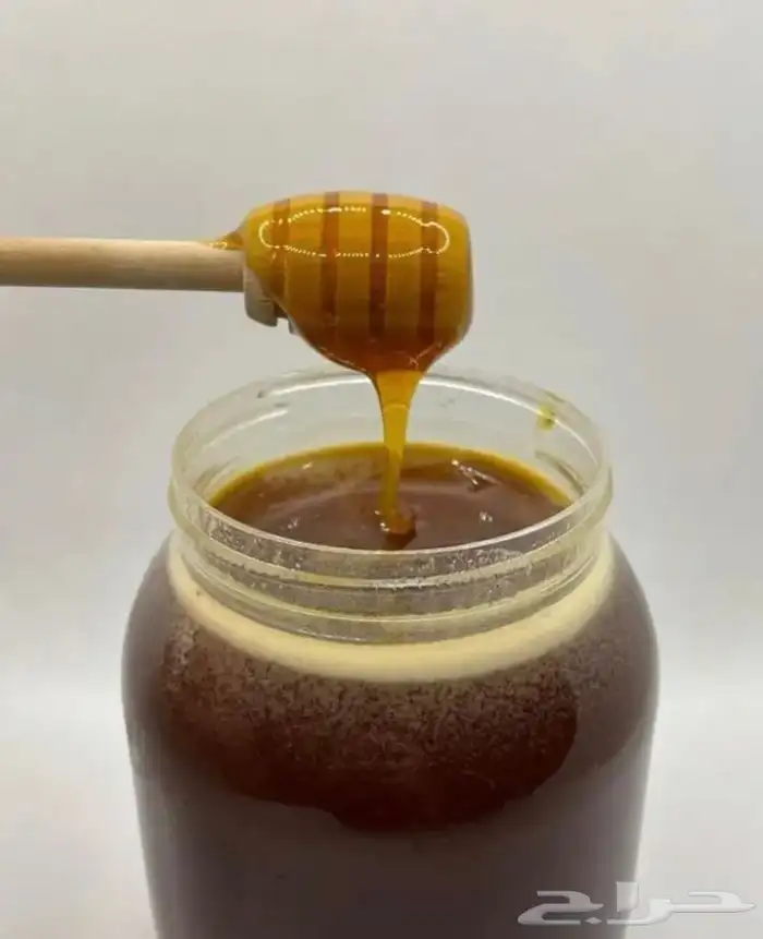 عسل سدر مضمون ومشروط 0