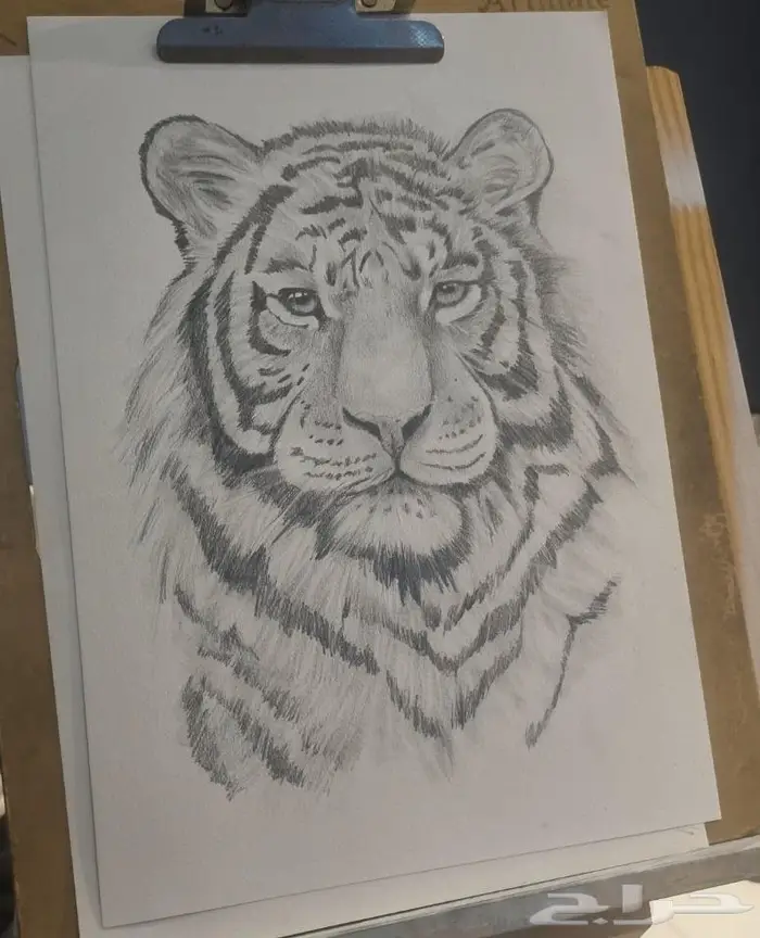 فنان بورتريه وجداريات 11