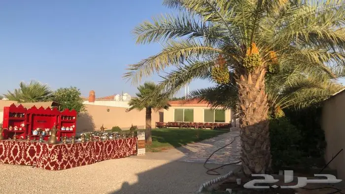 استراحه للايجاراليومي بالبدائع بين دوار بنك البلادوقصر سمو 3