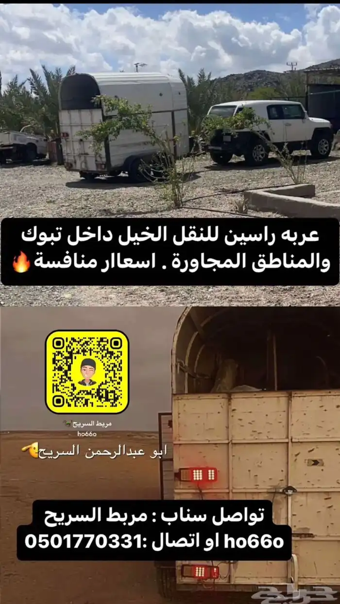عرض خاص إسطبل السريح 1