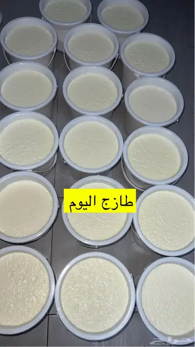 خاثر غنم لبن غنم زبده غنم غرس اوقشطه غنم سمن غنم شايط وغير 44