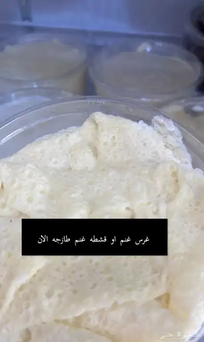 خاثر غنم لبن غنم زبده غنم غرس اوقشطه غنم سمن غنم شايط وغير 37