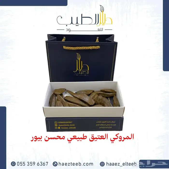 عود المجالس العامرة 2