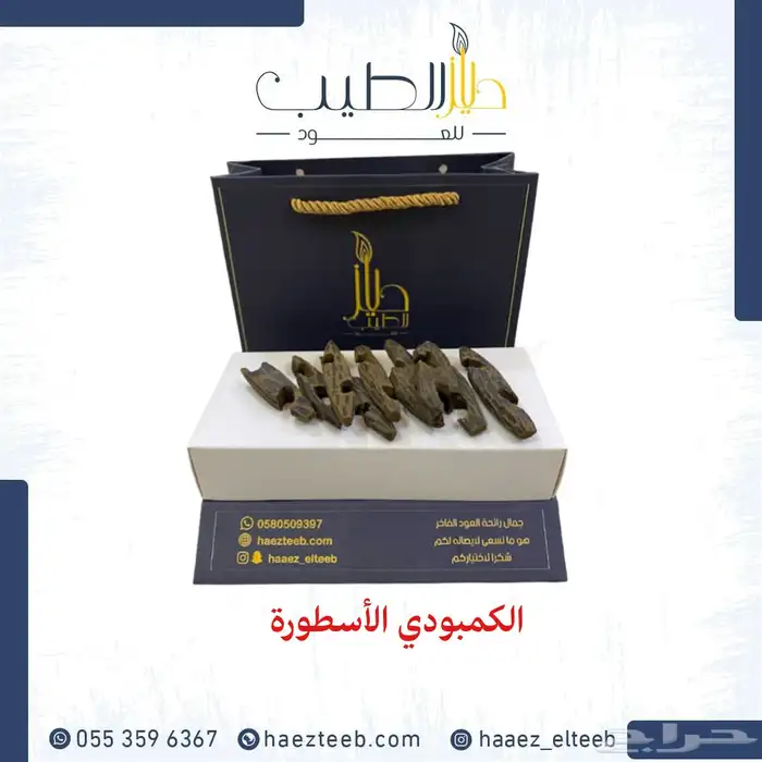 عود المجالس العامرة 1
