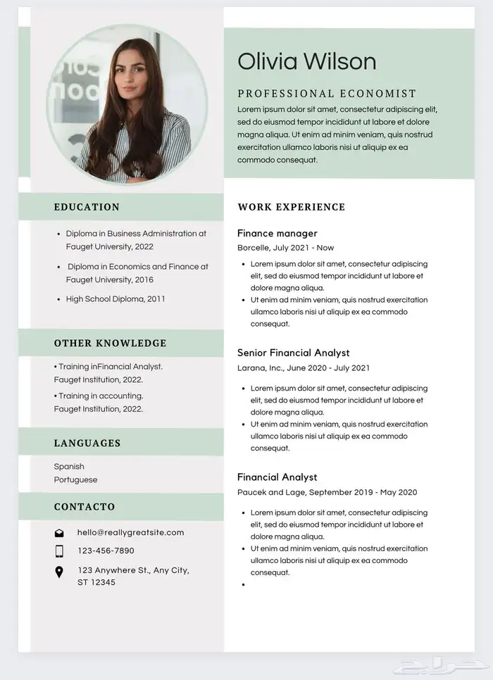 مصمم سيرة ذاتيه Cv 2