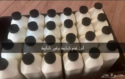 خاثر غنم لبن غنم زبده غنم غرس اوقشطه غنم سمن غنم شايط وغير 45