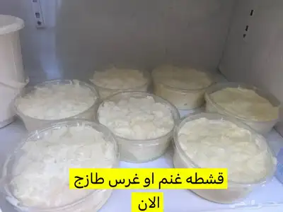 خاثر غنم لبن غنم زبده غنم غرس اوقشطه غنم سمن غنم شايط وغير 40