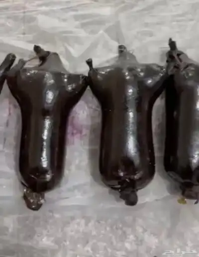 خاثر غنم لبن غنم زبده غنم غرس اوقشطه غنم سمن غنم شايط وغير 8
