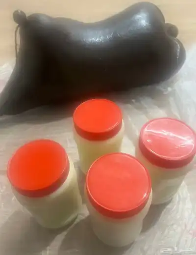 خاثر غنم لبن غنم زبده غنم غرس اوقشطه غنم سمن غنم شايط وغير 9