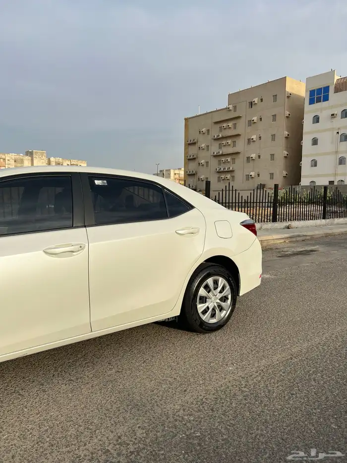 كورلا 2019 بودي بلد 3