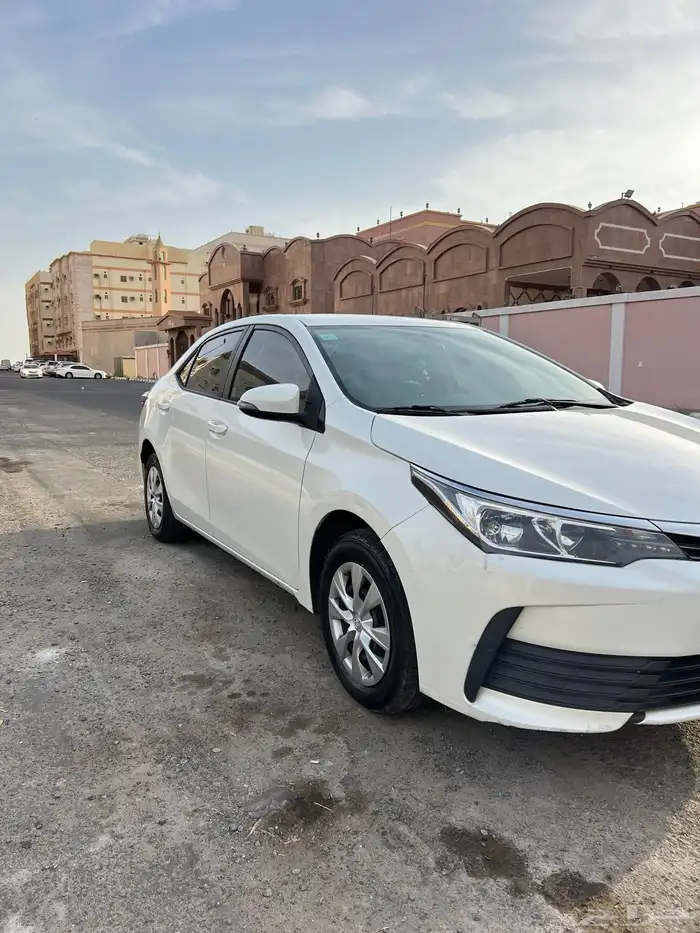 كورلا 2019 بودي بلد 5