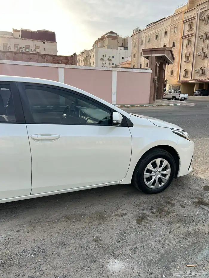 كورلا 2019 بودي بلد 4