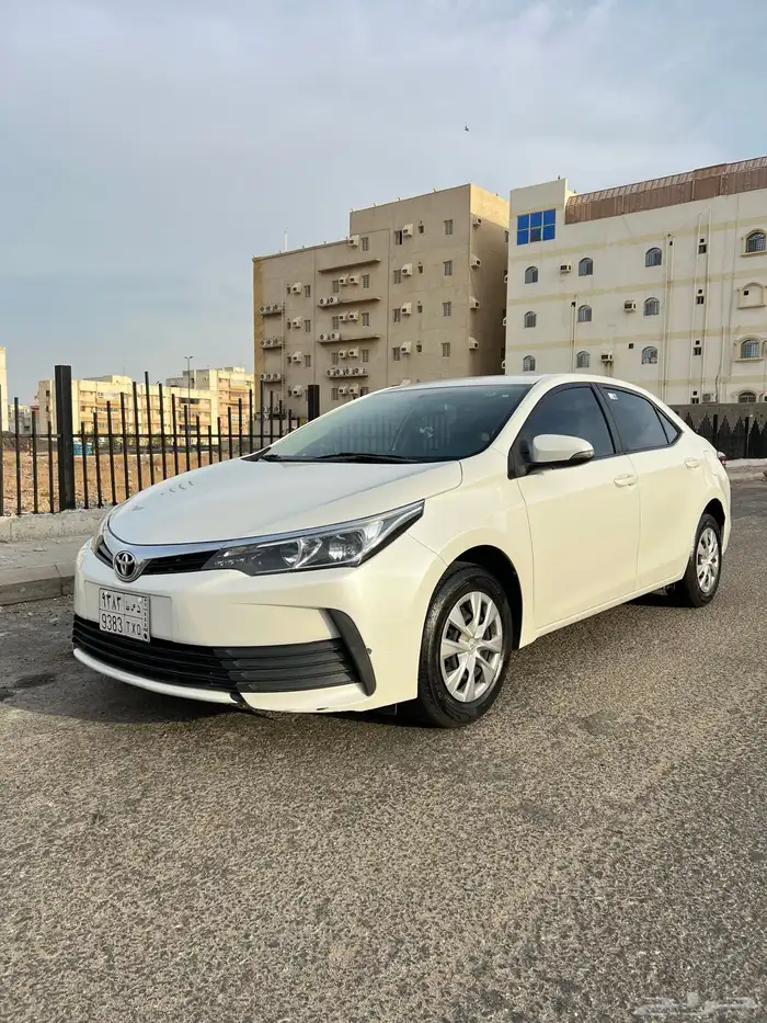 كورلا 2019 بودي بلد 2