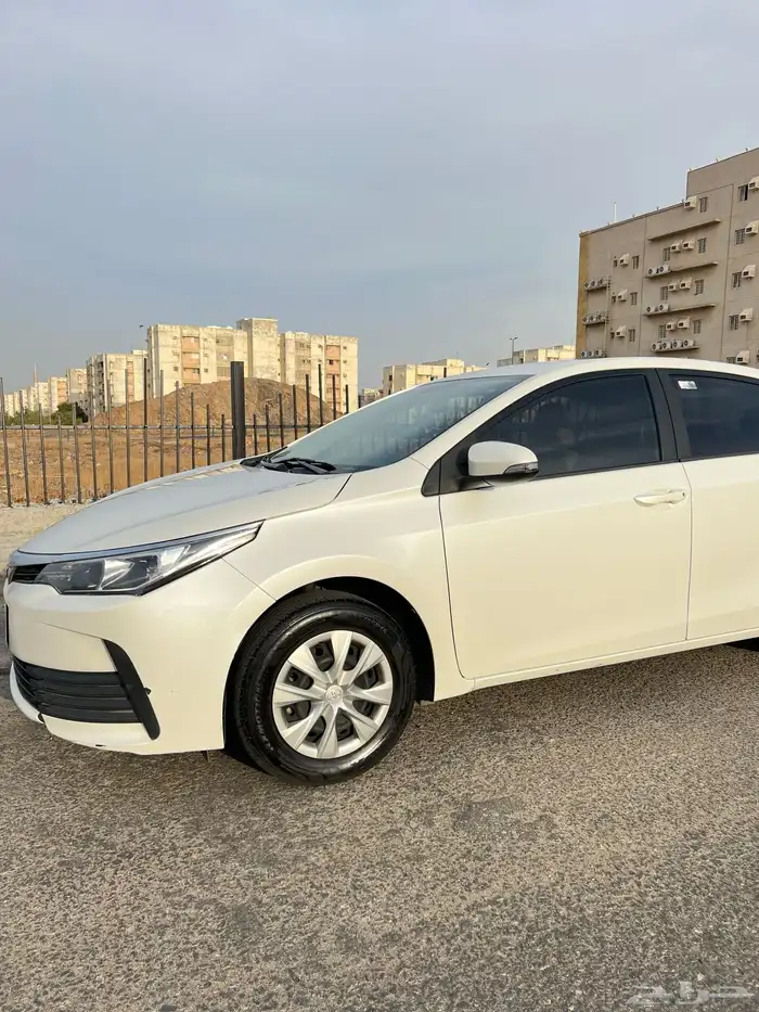 كورلا 2019 بودي بلد 1