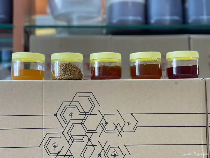 عسل سدر دوعني وعصيمي 2