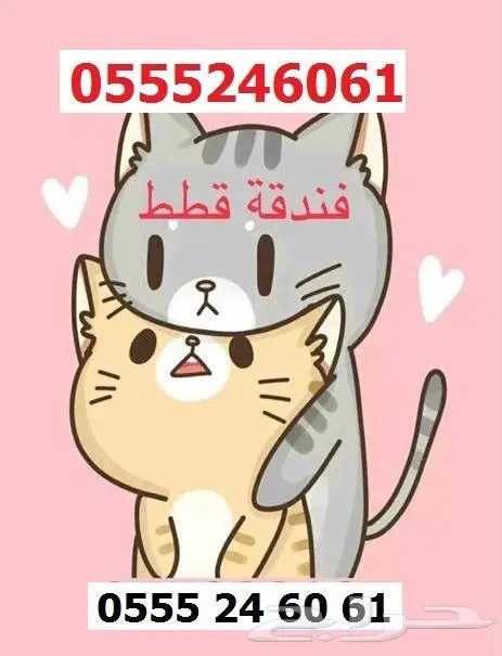 فندقة قطط وطيور 61 60 24 0555 شاهد التقييمات 1