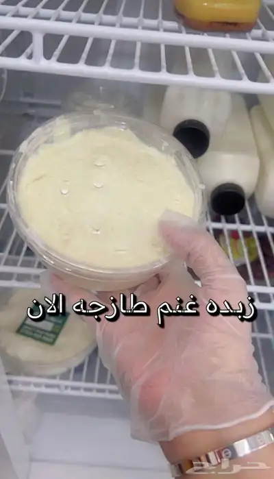 خاثر غنم لبن غنم زبده غنم غرس اوقشطه غنم سمن غنم شايط وغير 32