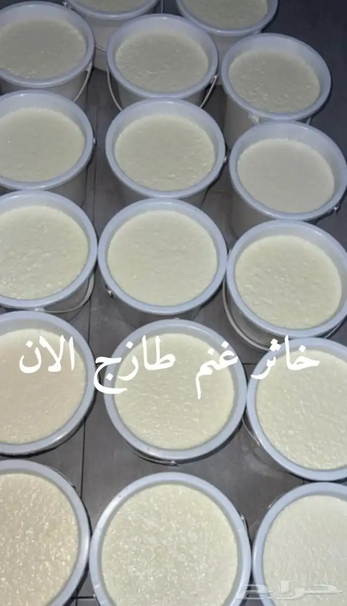 خاثر غنم لبن غنم زبده غنم غرس اوقشطه غنم سمن غنم شايط وغير 1