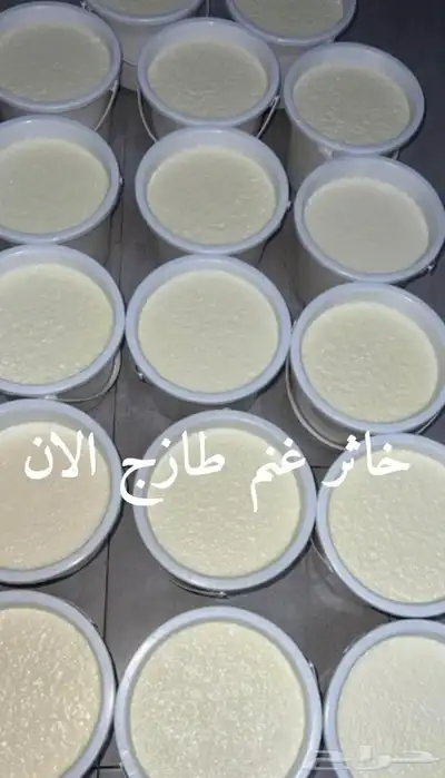 خاثر غنم لبن غنم زبده غنم غرس اوقشطه غنم سمن غنم شايط وغير 35