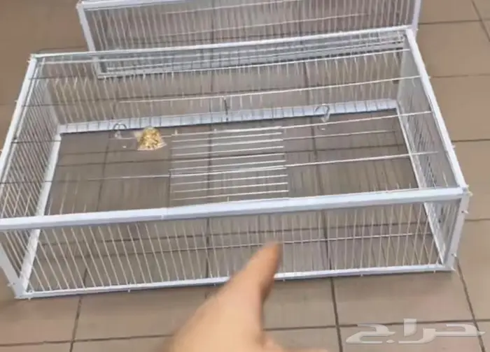 فخ ذكي صيد الطيور والحيوانات 0