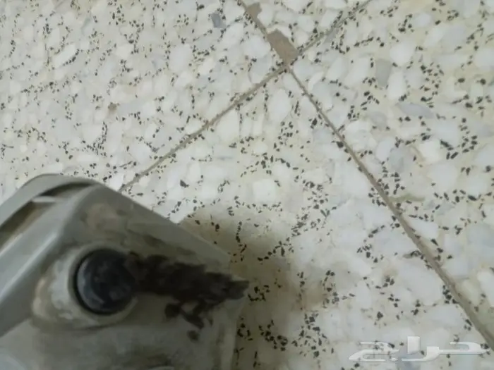 قطع كابرس ولومينا 2006 14