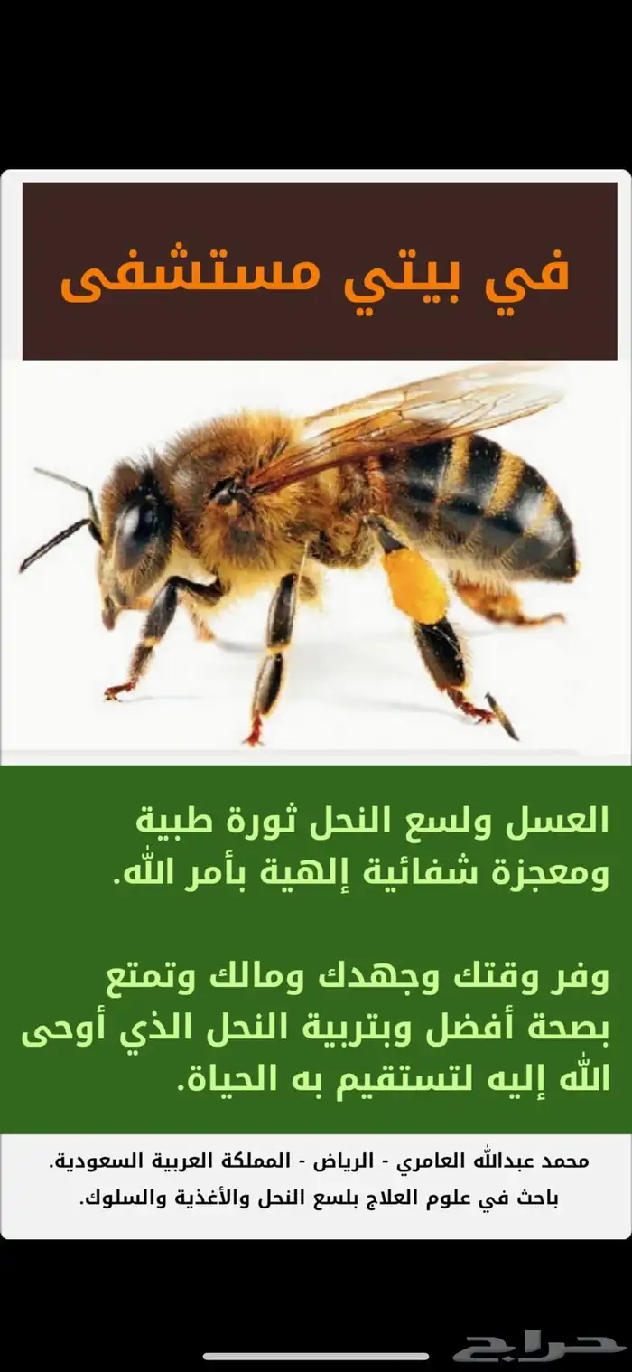 براويز نحل ممطوطه نضيفه 0